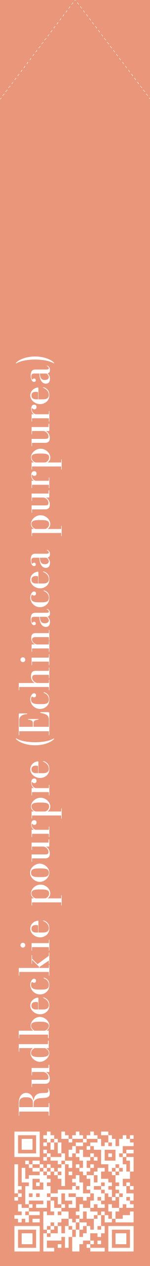 Étiquette de : Echinacea purpurea - format c - style blanche37_simplebod avec qrcode et comestibilité