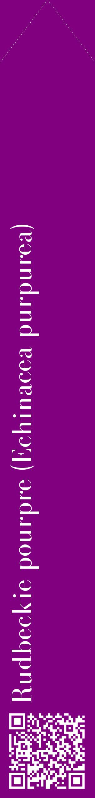 Étiquette de : Echinacea purpurea - format c - style blanche46_simplebod avec qrcode et comestibilité