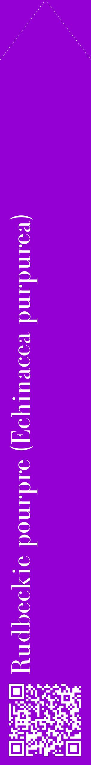 Étiquette de : Echinacea purpurea - format c - style blanche48_simplebod avec qrcode et comestibilité