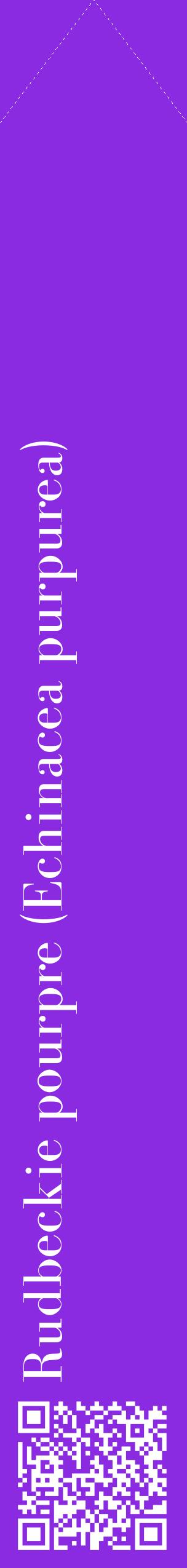 Étiquette de : Echinacea purpurea - format c - style blanche49_simplebod avec qrcode et comestibilité