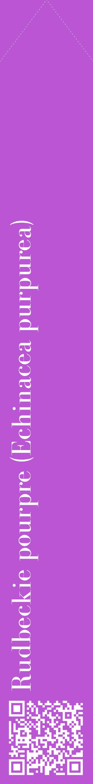 Étiquette de : Echinacea purpurea - format c - style blanche50_simplebod avec qrcode et comestibilité
