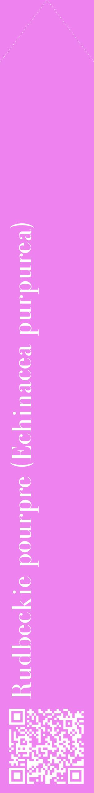 Étiquette de : Echinacea purpurea - format c - style blanche53_simplebod avec qrcode et comestibilité