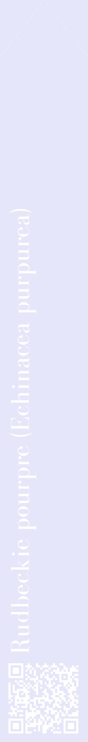 Étiquette de : Echinacea purpurea - format c - style blanche55_simplebod avec qrcode et comestibilité