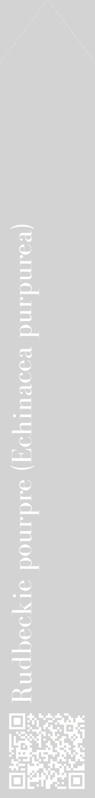 Étiquette de : Echinacea purpurea - format c - style blanche56_simplebod avec qrcode et comestibilité