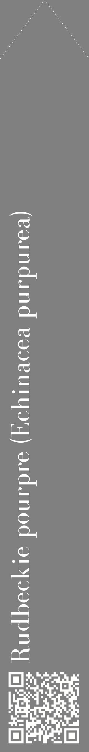 Étiquette de : Echinacea purpurea - format c - style blanche57_simplebod avec qrcode et comestibilité
