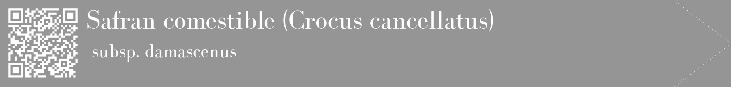 Étiquette de : Crocus cancellatus subsp. damascenus - format c - style blanche16_simple_simplebod avec qrcode et comestibilité