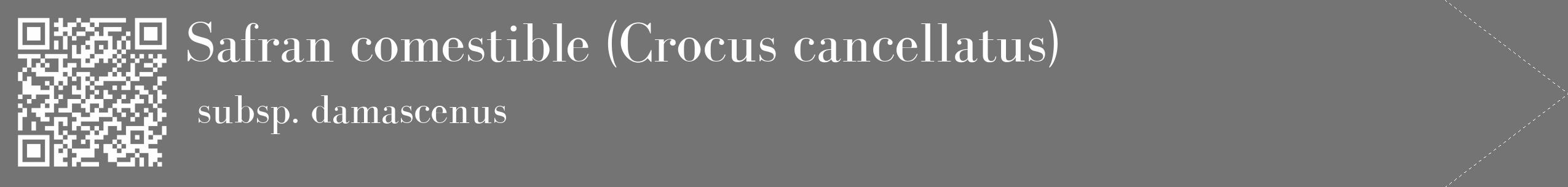 Étiquette de : Crocus cancellatus subsp. damascenus - format c - style blanche26_simple_simplebod avec qrcode et comestibilité