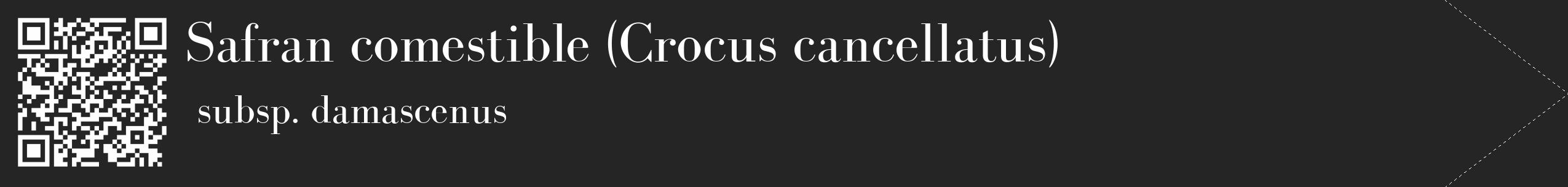 Étiquette de : Crocus cancellatus subsp. damascenus - format c - style blanche47_simple_simplebod avec qrcode et comestibilité