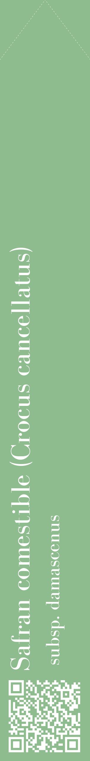 Étiquette de : Crocus cancellatus subsp. damascenus - format c - style blanche13_simplebod avec qrcode et comestibilité