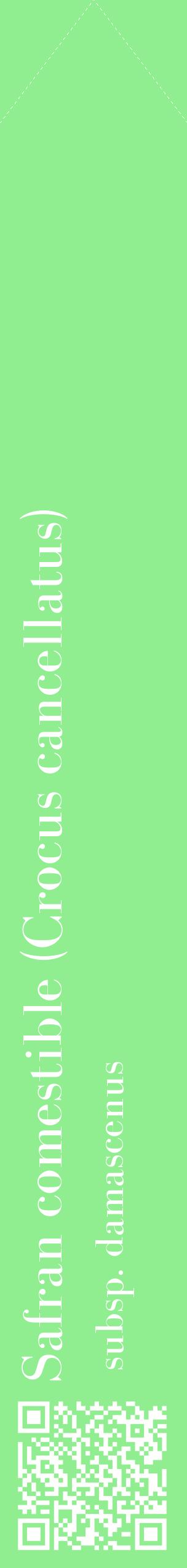 Étiquette de : Crocus cancellatus subsp. damascenus - format c - style blanche15_simplebod avec qrcode et comestibilité