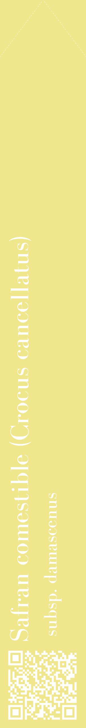 Étiquette de : Crocus cancellatus subsp. damascenus - format c - style blanche20_simplebod avec qrcode et comestibilité