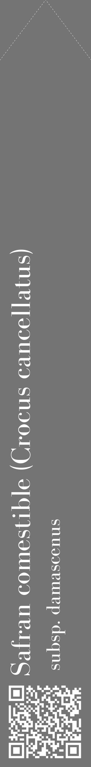 Étiquette de : Crocus cancellatus subsp. damascenus - format c - style blanche26_simple_simplebod avec qrcode et comestibilité - position verticale