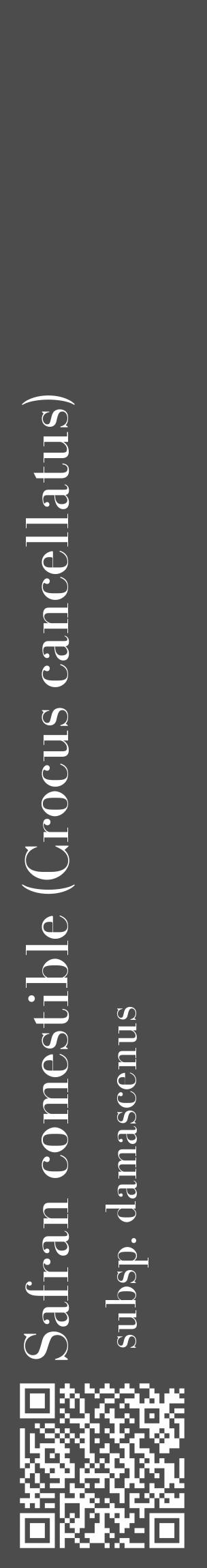 Étiquette de : Crocus cancellatus subsp. damascenus - format c - style blanche27_basique_basiquebod avec qrcode et comestibilité - position verticale