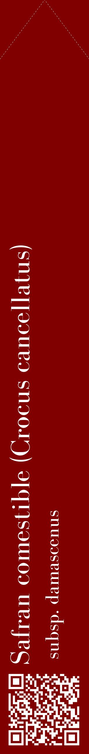 Étiquette de : Crocus cancellatus subsp. damascenus - format c - style blanche29_simplebod avec qrcode et comestibilité