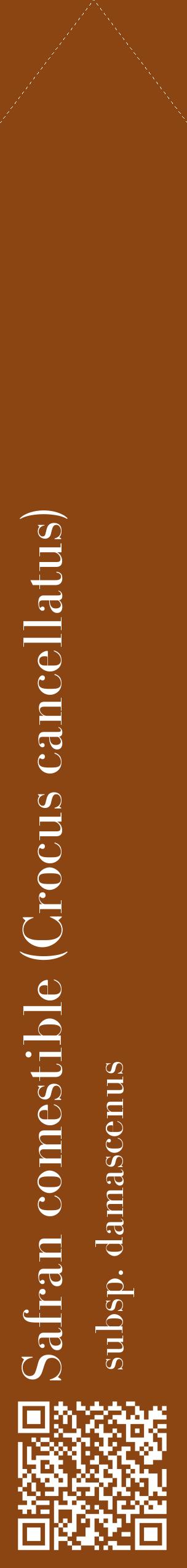 Étiquette de : Crocus cancellatus subsp. damascenus - format c - style blanche30_simplebod avec qrcode et comestibilité