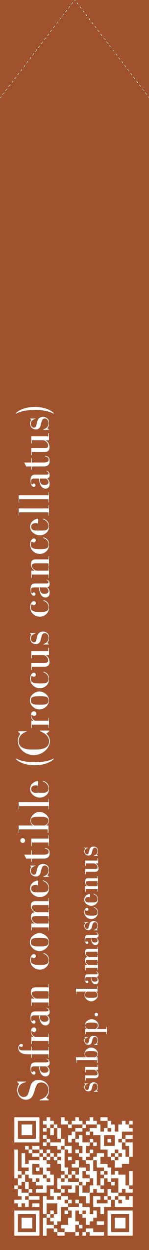 Étiquette de : Crocus cancellatus subsp. damascenus - format c - style blanche32_simplebod avec qrcode et comestibilité