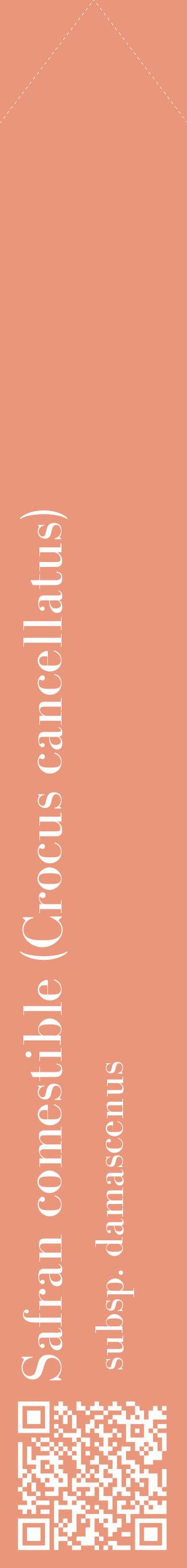 Étiquette de : Crocus cancellatus subsp. damascenus - format c - style blanche37_simplebod avec qrcode et comestibilité