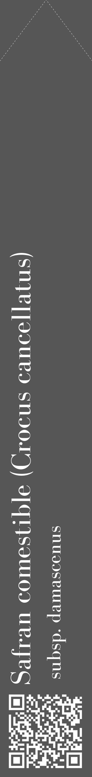 Étiquette de : Crocus cancellatus subsp. damascenus - format c - style blanche45_simple_simplebod avec qrcode et comestibilité - position verticale