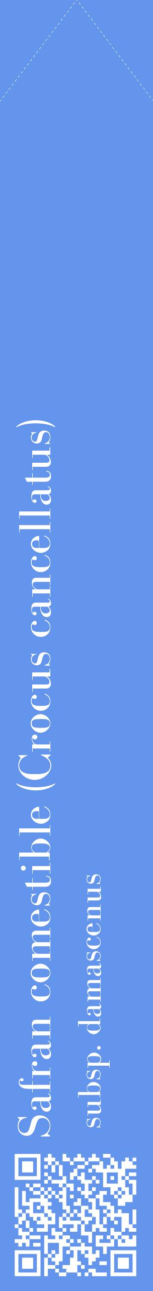Étiquette de : Crocus cancellatus subsp. damascenus - format c - style blanche4_simplebod avec qrcode et comestibilité