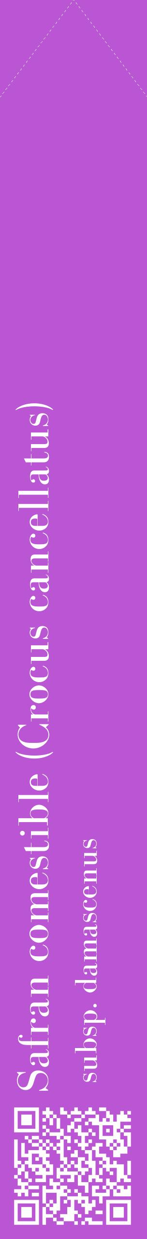 Étiquette de : Crocus cancellatus subsp. damascenus - format c - style blanche50_simplebod avec qrcode et comestibilité