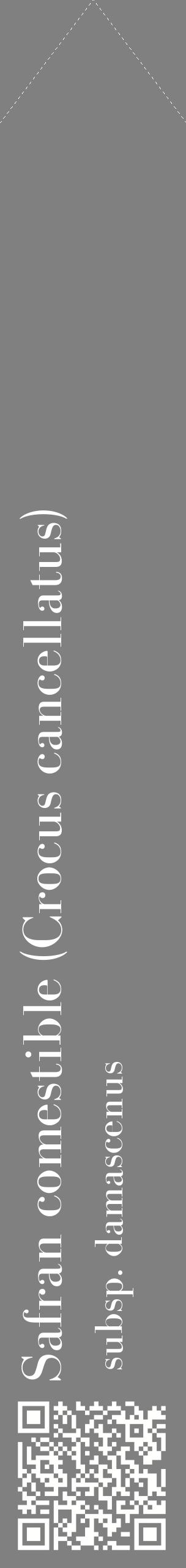 Étiquette de : Crocus cancellatus subsp. damascenus - format c - style blanche57_simplebod avec qrcode et comestibilité