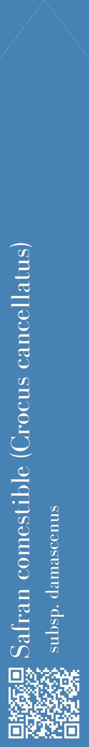 Étiquette de : Crocus cancellatus subsp. damascenus - format c - style blanche5_simplebod avec qrcode et comestibilité