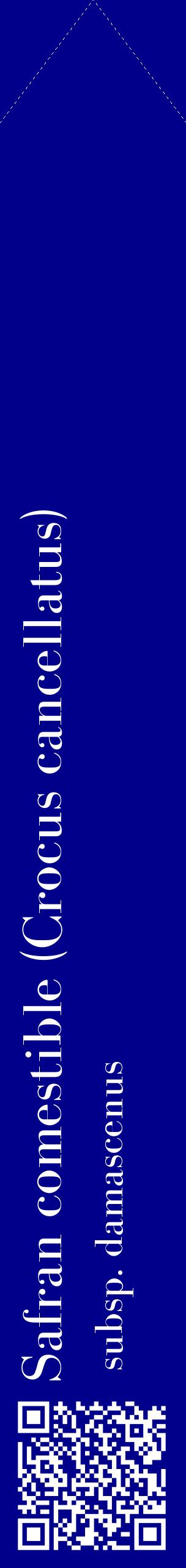 Étiquette de : Crocus cancellatus subsp. damascenus - format c - style blanche7_simplebod avec qrcode et comestibilité