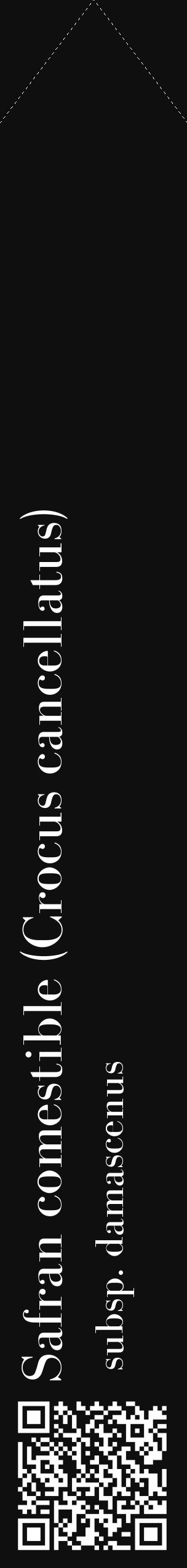 Étiquette de : Crocus cancellatus subsp. damascenus - format c - style blanche7_simple_simplebod avec qrcode et comestibilité - position verticale