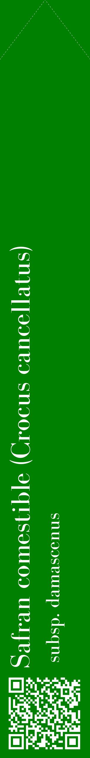 Étiquette de : Crocus cancellatus subsp. damascenus - format c - style blanche9_simple_simplebod avec qrcode et comestibilité - position verticale