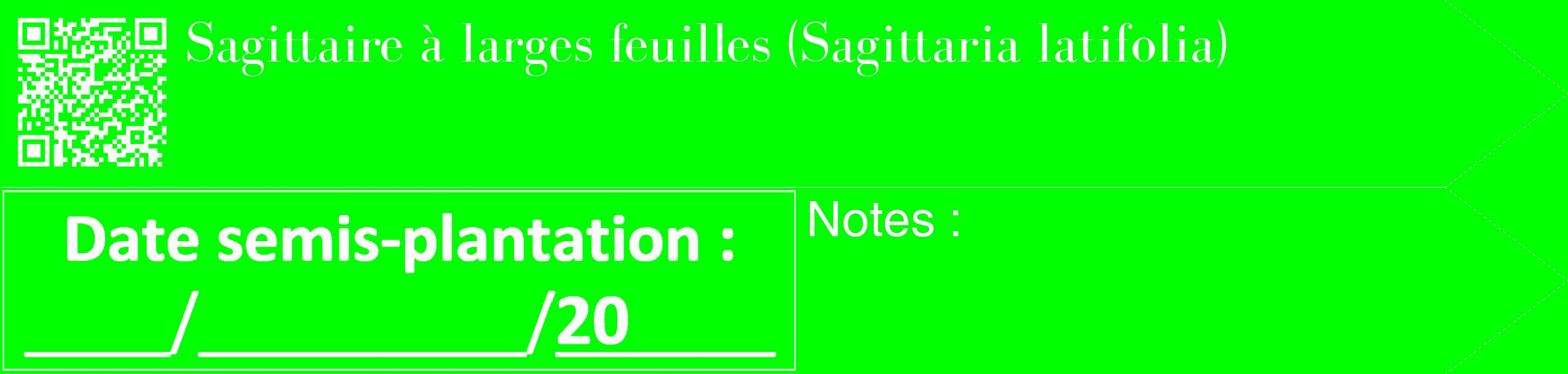 Étiquette de : Sagittaria latifolia - format c - style blanche16_simple_simplebod avec qrcode et comestibilité