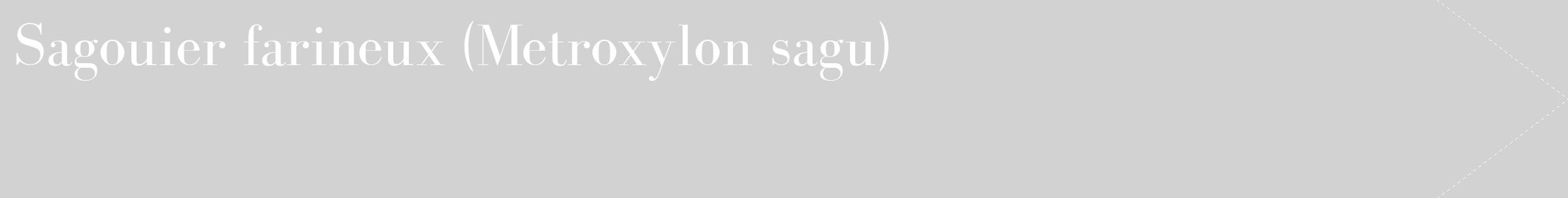 Étiquette de : Metroxylon sagu - format c - style blanche14_simple_simplebod avec comestibilité
