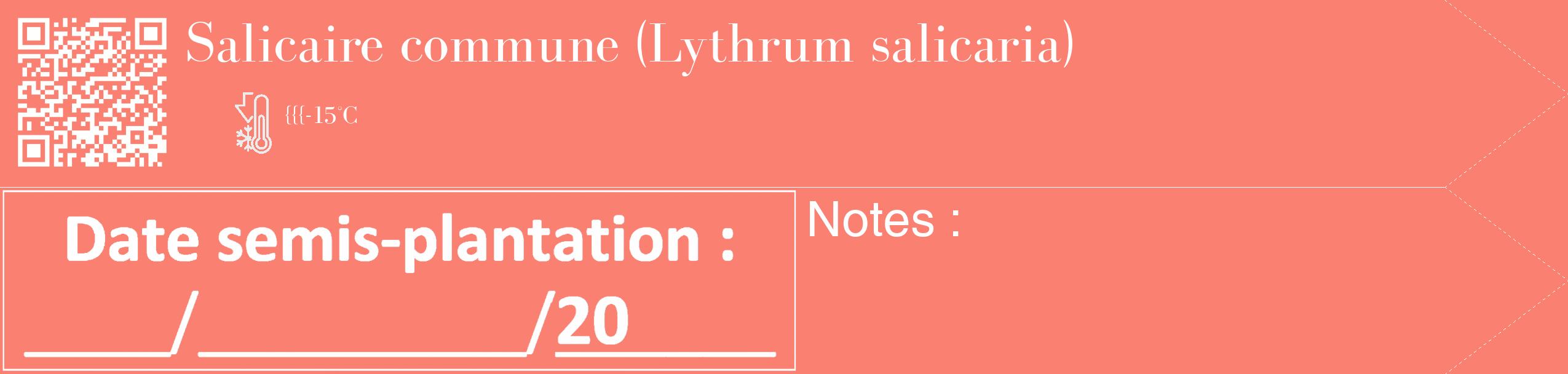 Étiquette de : Lythrum salicaria - format c - style blanche38_simple_simplebod avec qrcode et comestibilité