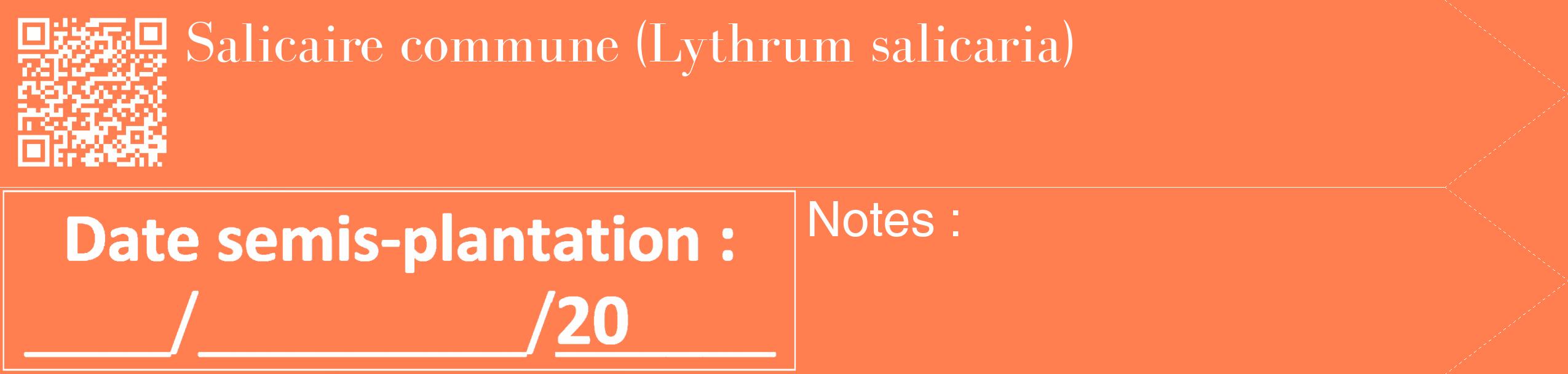 Étiquette de : Lythrum salicaria - format c - style blanche24_simple_simplebod avec qrcode et comestibilité