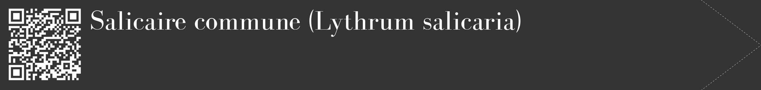 Étiquette de : Lythrum salicaria - format c - style blanche46_simple_simplebod avec qrcode et comestibilité