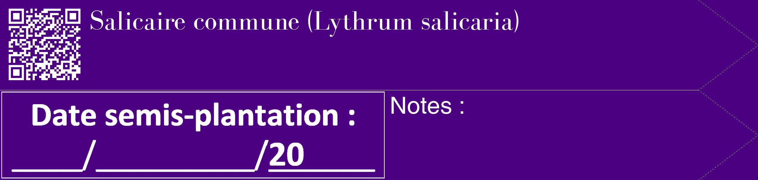 Étiquette de : Lythrum salicaria - format c - style blanche47_simple_simplebod avec qrcode et comestibilité