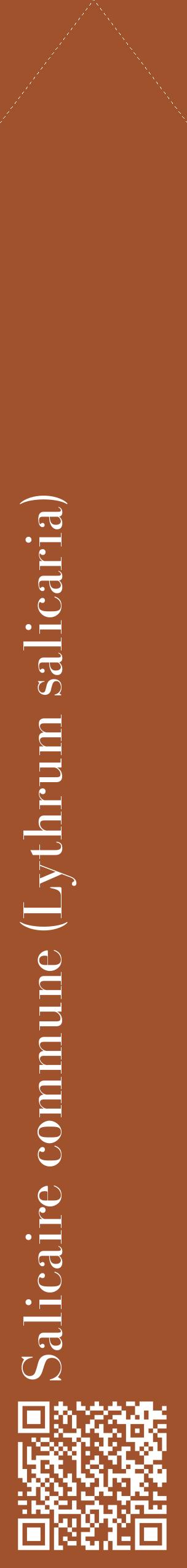 Étiquette de : Lythrum salicaria - format c - style blanche32_simplebod avec qrcode et comestibilité