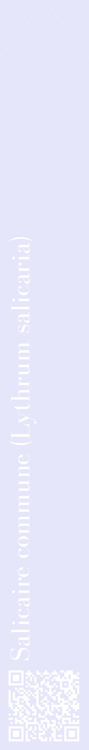 Étiquette de : Lythrum salicaria - format c - style blanche55_simplebod avec qrcode et comestibilité