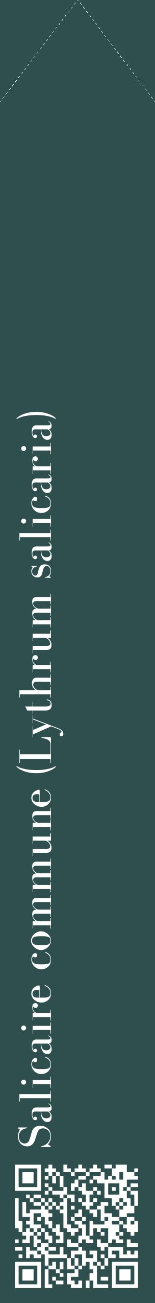 Étiquette de : Lythrum salicaria - format c - style blanche58_simplebod avec qrcode et comestibilité