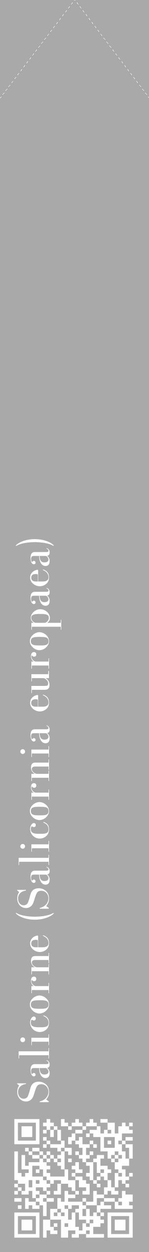 Étiquette de : Salicornia europaea - format c - style blanche13_simple_simplebod avec qrcode et comestibilité - position verticale