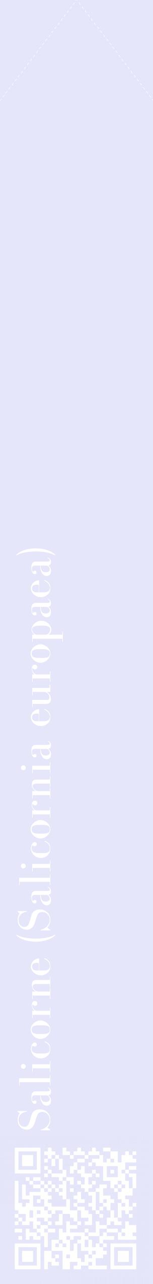 Étiquette de : Salicornia europaea - format c - style blanche55_simplebod avec qrcode et comestibilité