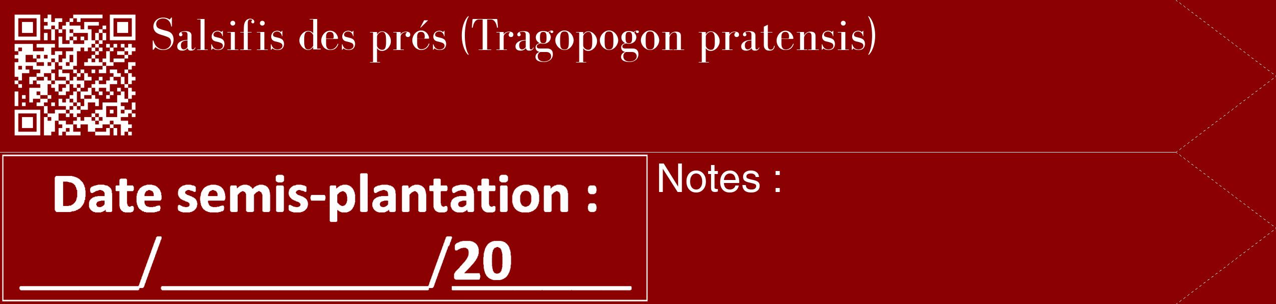 Étiquette de : Tragopogon pratensis - format c - style blanche34_simple_simplebod avec qrcode et comestibilité