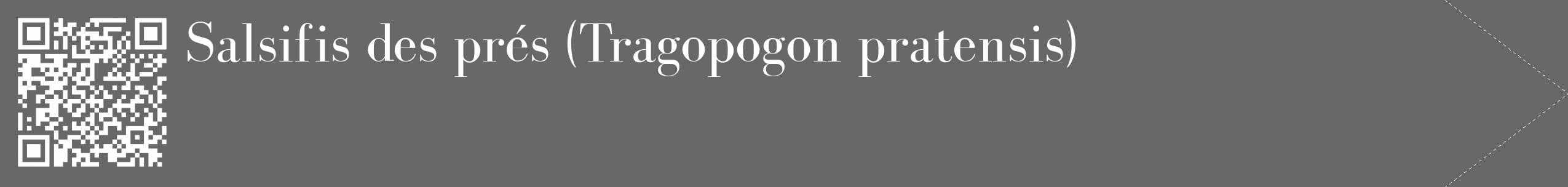 Étiquette de : Tragopogon pratensis - format c - style blanche43_simple_simplebod avec qrcode et comestibilité