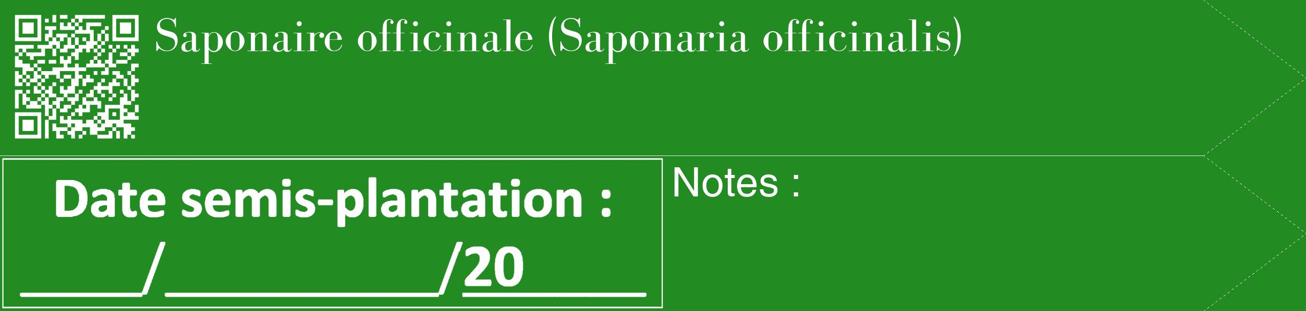 Étiquette de : Saponaria officinalis - format c - style blanche10_simple_simplebod avec qrcode et comestibilité