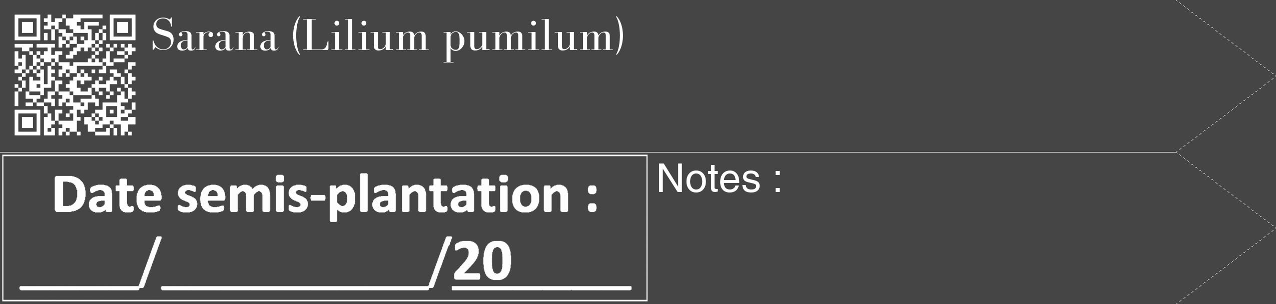 Étiquette de : Lilium pumilum - format c - style blanche58_simple_simplebod avec qrcode et comestibilité