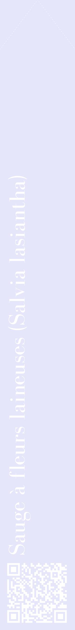 Étiquette de : Salvia lasiantha - format c - style blanche55_simplebod avec qrcode et comestibilité