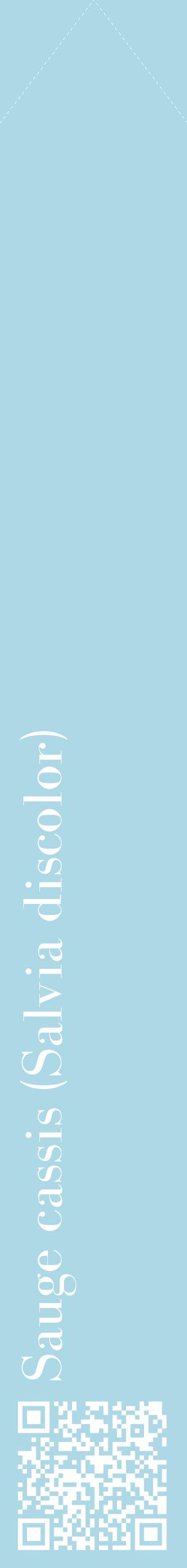 Étiquette de : Salvia discolor - format c - style blanche0_simplebod avec qrcode et comestibilité