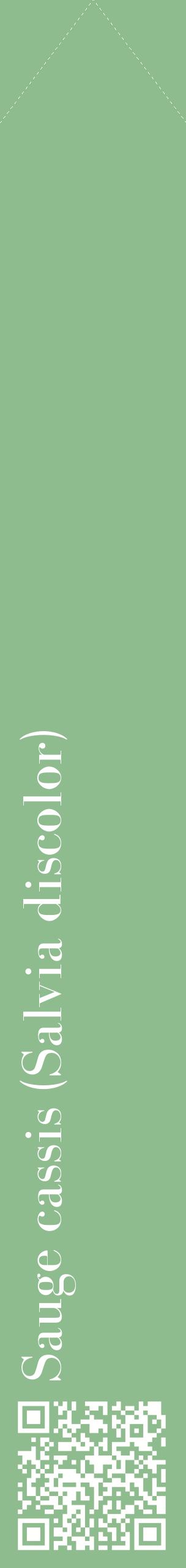 Étiquette de : Salvia discolor - format c - style blanche13_simplebod avec qrcode et comestibilité
