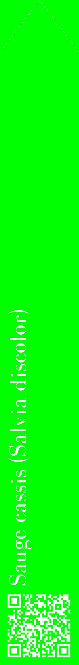 Étiquette de : Salvia discolor - format c - style blanche16_simplebod avec qrcode et comestibilité