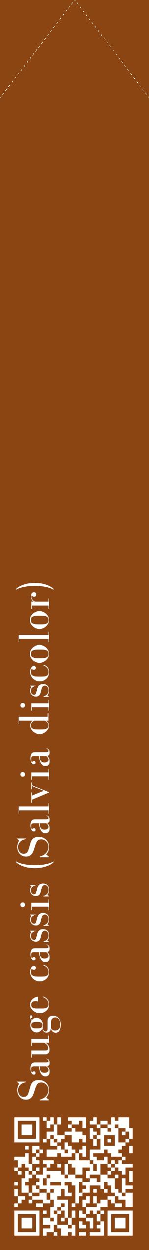 Étiquette de : Salvia discolor - format c - style blanche30_simplebod avec qrcode et comestibilité
