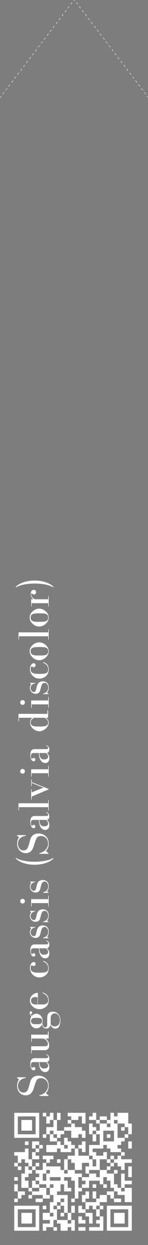 Étiquette de : Salvia discolor - format c - style blanche35_simple_simplebod avec qrcode et comestibilité - position verticale
